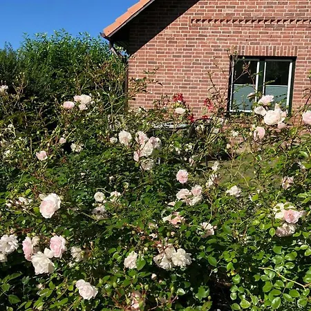 Apartmán Ankerplatz *